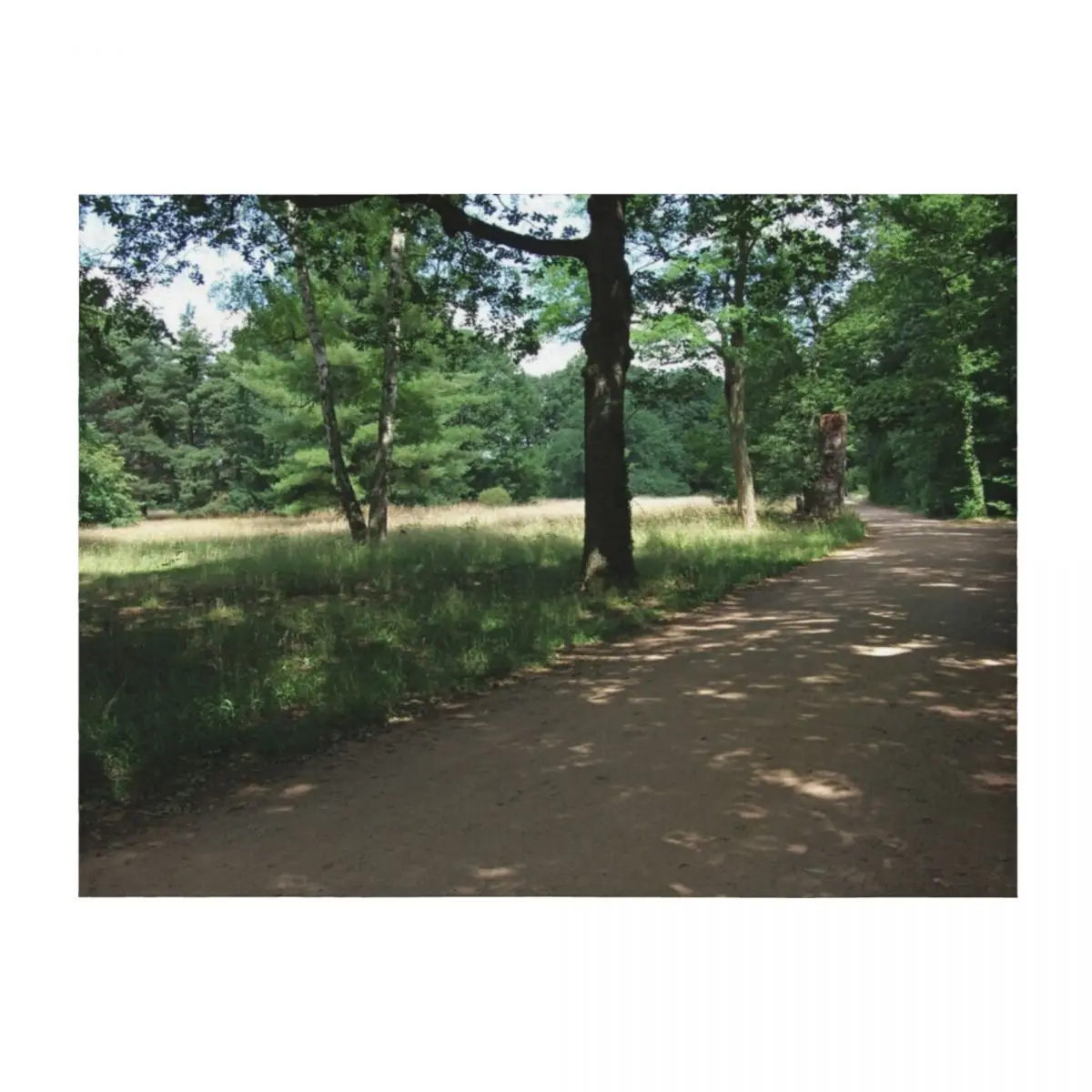 

Forest path Throw Blanket Flannel Thins Kid'S manga Blankets