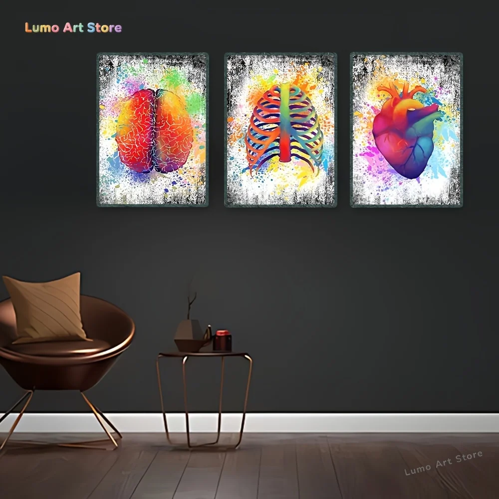 3pcs Unframed Canvas Wall Art - Human Brain, Rib Cage & Heart Anatomy Paintings with Vibrant Colors & Splatter Paint Design,