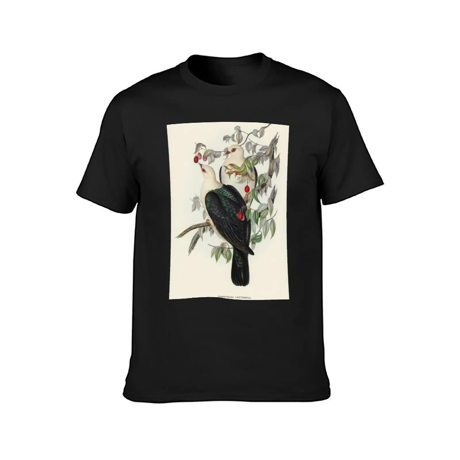 Australien Birds T-Shirt heavyweights Aesthetic clothing tshirts for men