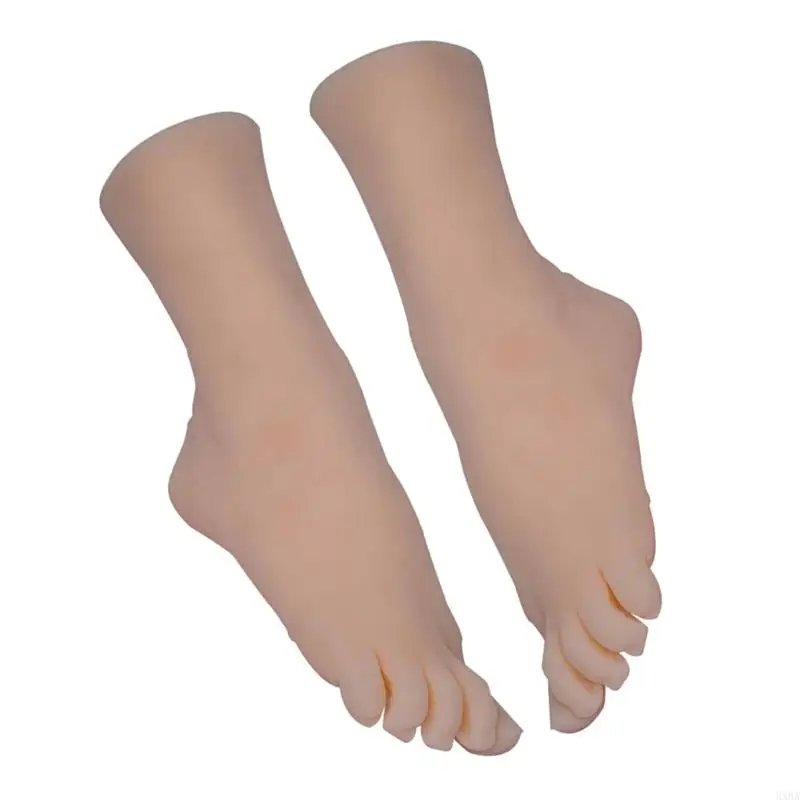 HXBA Realistic Female Foot Anatomy Model Size 38 for Art Supplies Teaching Fashion Props Sturdy TPE Construction