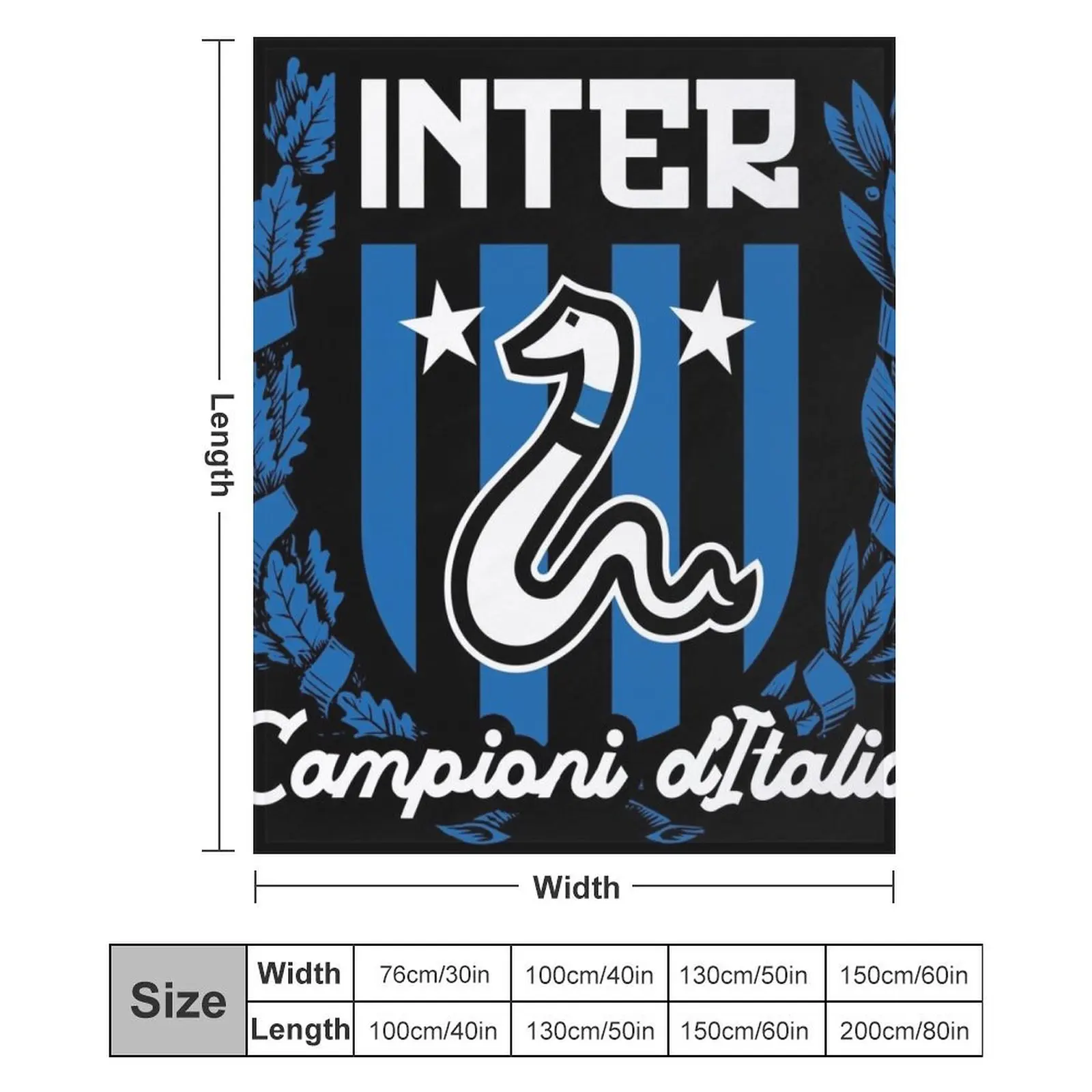 Inter Campioni d'Italia Throw Blanket Flannel Fabric Hairys Blankets