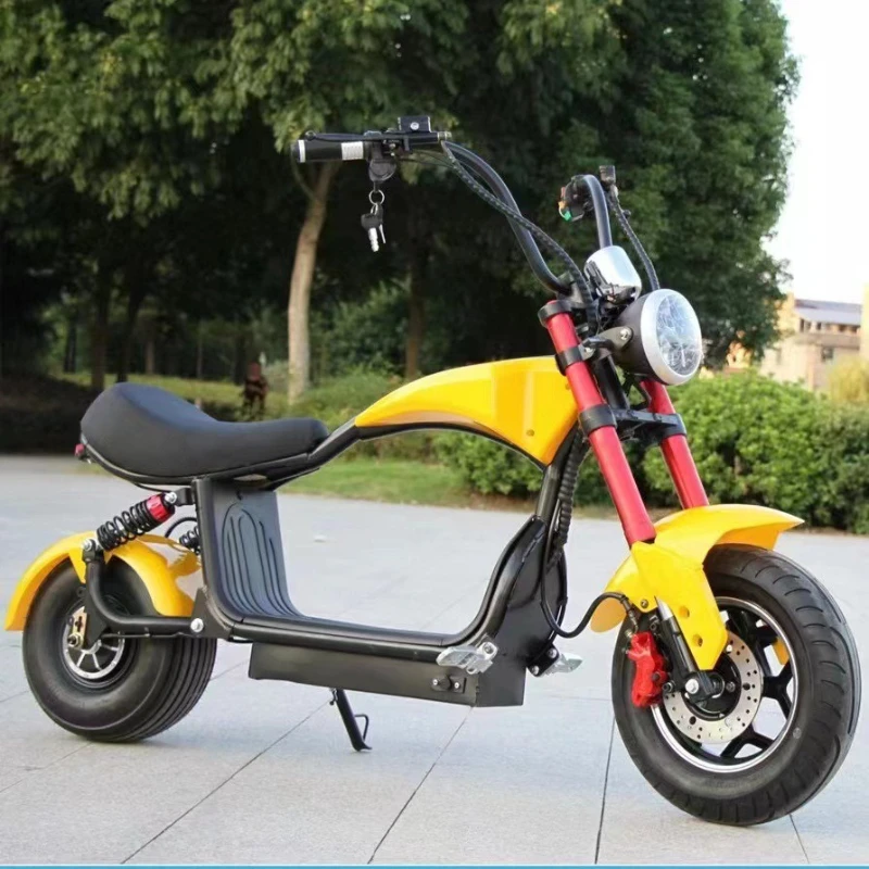 

Electric motorcycle 60V volt battery car adult lithium battery prince electric bicycle