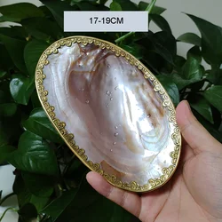 Mother of Pearl Serving Dish Natural Shell Tray Caviar, Finger Foods, Canape, ,Tart Cakes Holder DIY Crafts Seashell Beach Decor