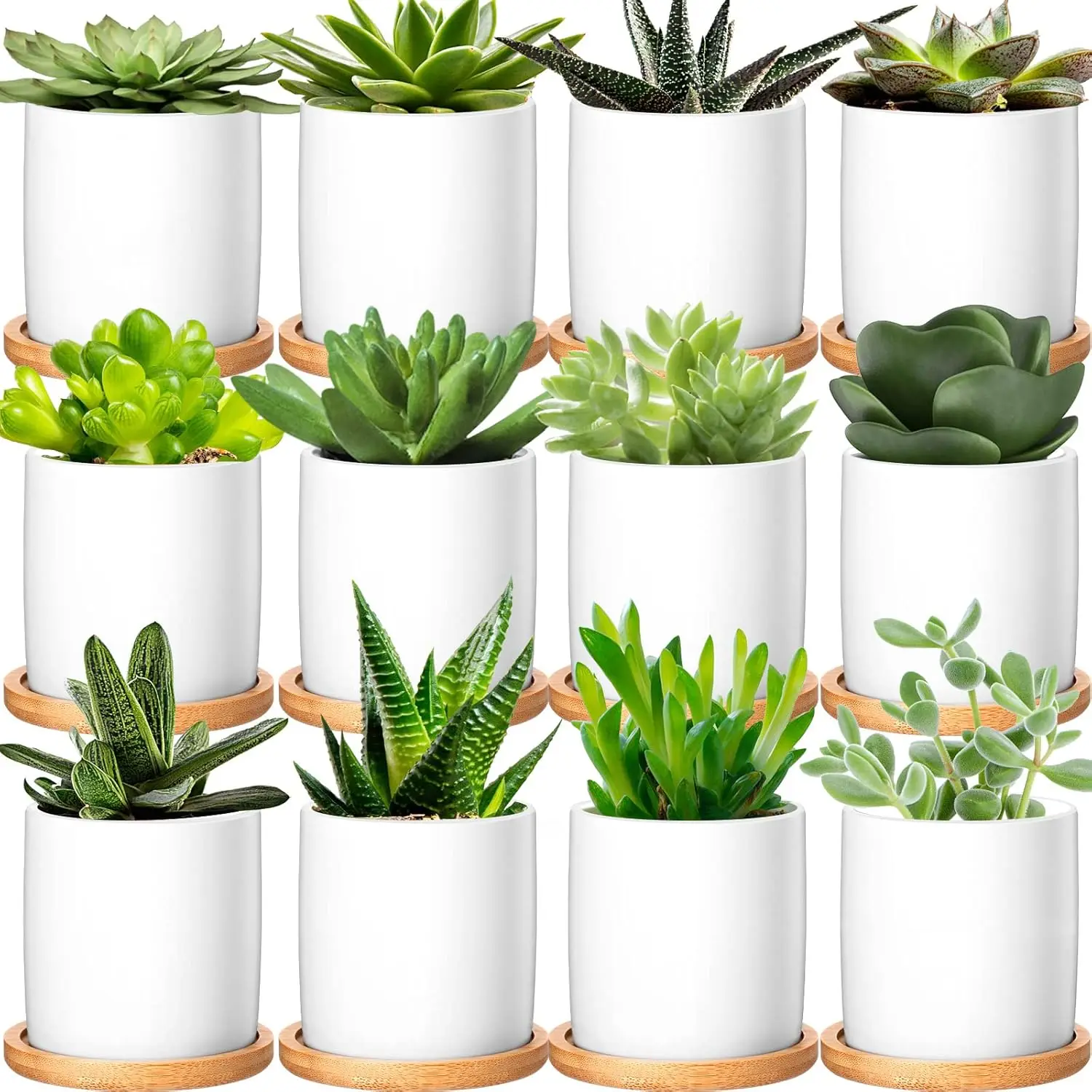 

12 Pack Small Succulent Plants Pots 3 Inch Ceramic Flower Planter Pot and Bamboo Tray with Drainage Hole for Succulents