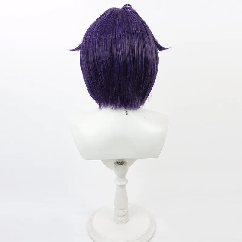 I Wanna Be a Magical Girl Mebuki Itsuki Cosplay Wig Dark Purple