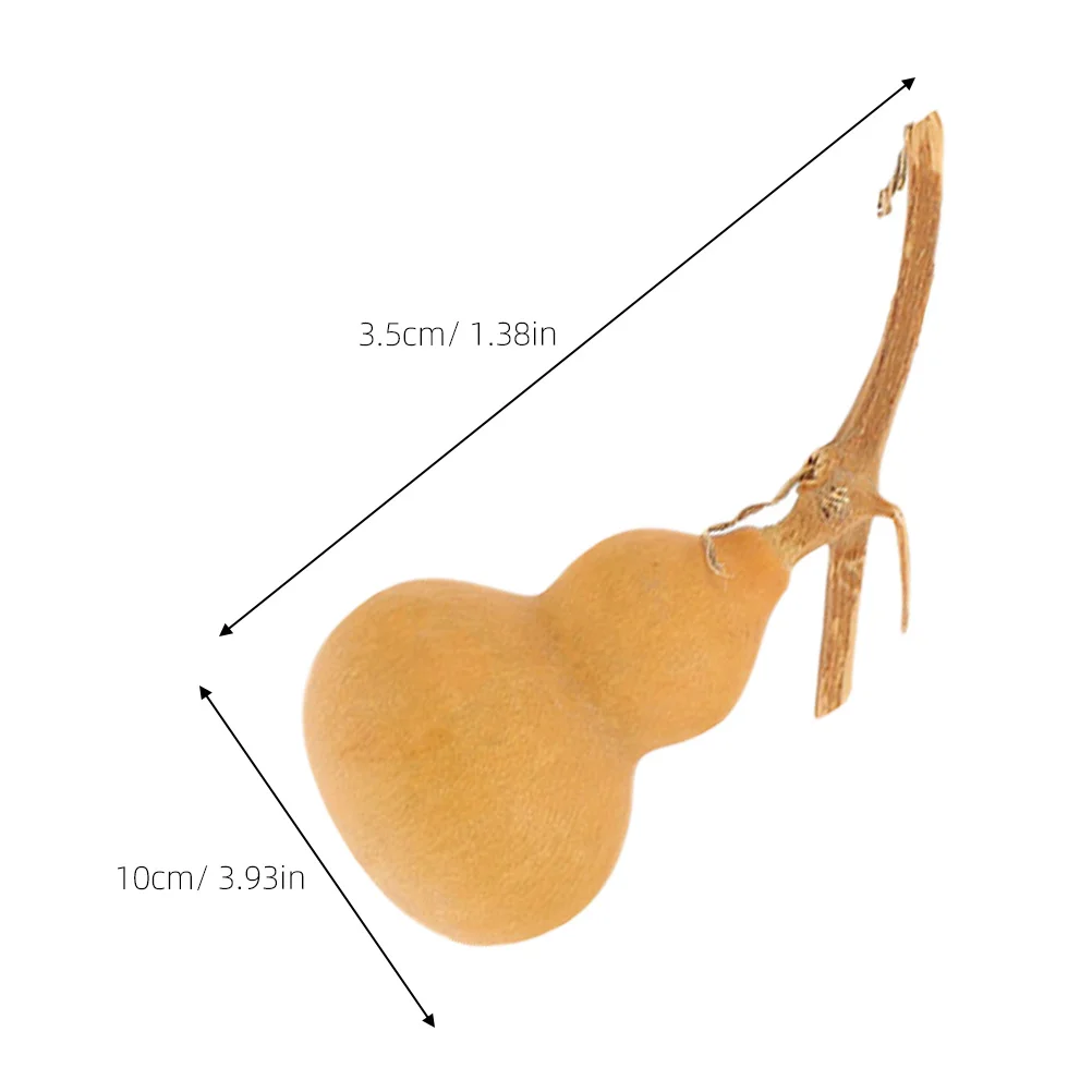 10 قطعة ديكورات فنون القرع الطبيعي الحلي لمكتب متجر مول ديكور مساحة صغيرة ديكور الحرفية الهدايا