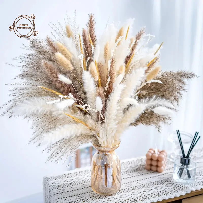 

Natural Pampas Dried Flowers Bunny Tails Grass Craspedia Boho Bouquet Wedding Decor Party Supplies Vase Garden Decorations