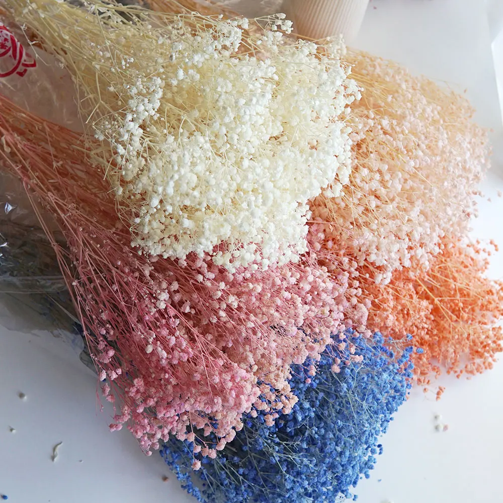 50g/colorido Natural conservado Babysbreath Gypsophila blanqueado teñido DIY Material ramo Oficina boda decoración del hogar