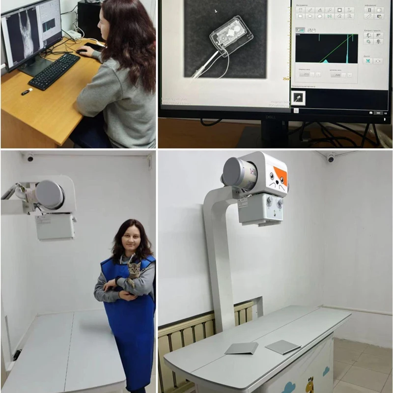 Veterinary X-ray  Device DR Machine  Generator Digital Radiography Vet Equipment for Human & Pets