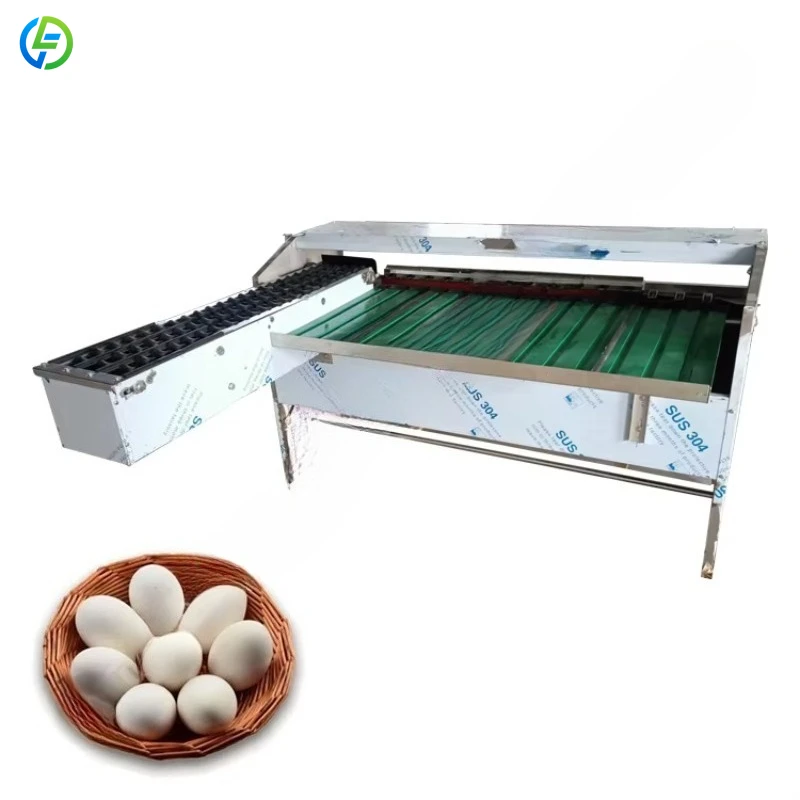 FL Wholesale Has A Minimum Order Quantity Egg Washer Grader Egg Grader Machine Egg Sorting Machine Commercial Customized