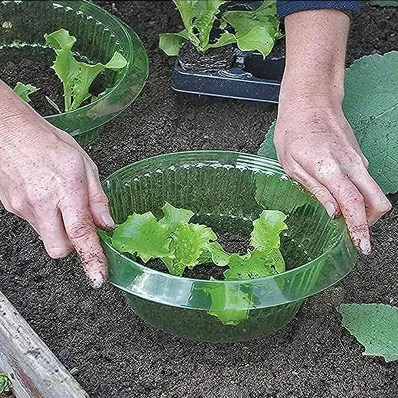 Vegetable Protection Collar 10PCS Collar Plant Guard Snail Collar Protects Plants To Get Better Transparent Slug Collar Plant