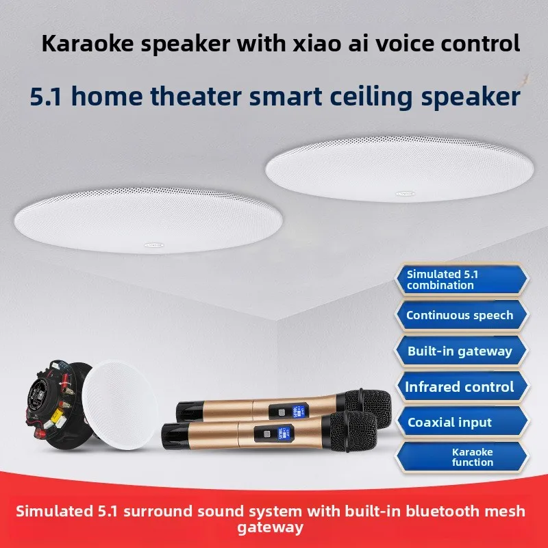 Ceiling audio host home theater speakers