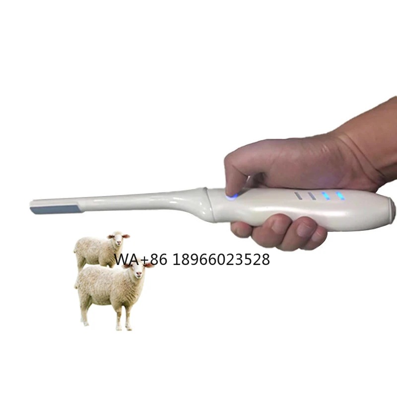 SY-AVN_vet Medical Portable Surgical Wireless Veterinary Ultrasound Equipment With Rectal Linear Probe for pig sheep goat