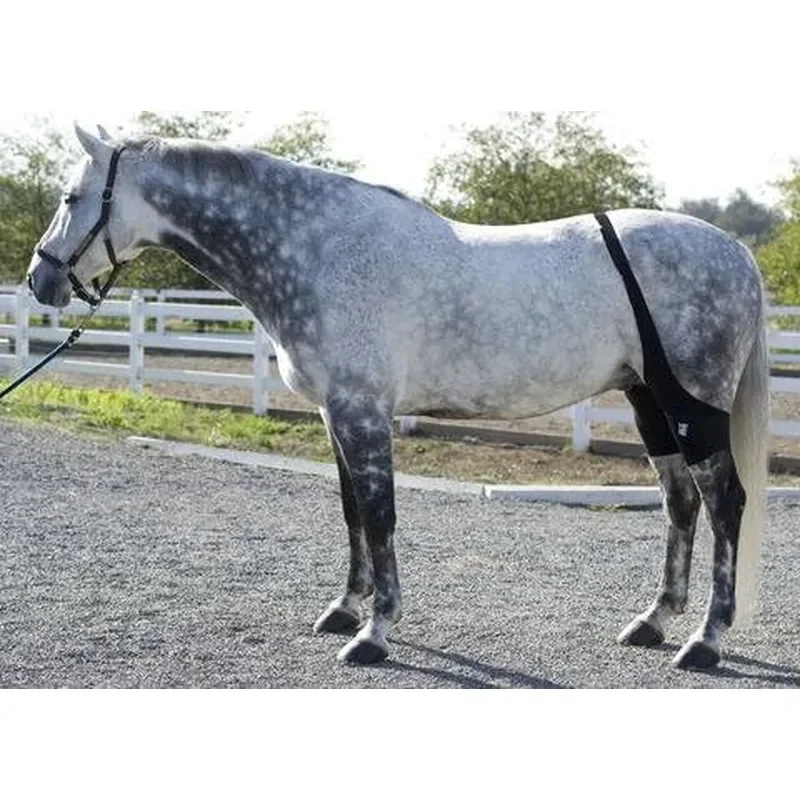 Pair of Stifle Wraps for Equine Therapy Comes with 4 Ice Packs