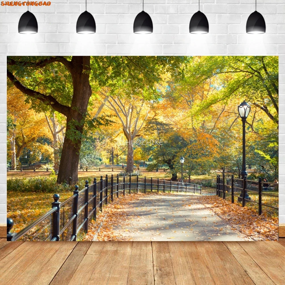 Tła do zdjęć opadłe liście Park Way narożnik drzewo dziecko naturalna jesień malownicze tła fotograficzne do studia fotograficznego