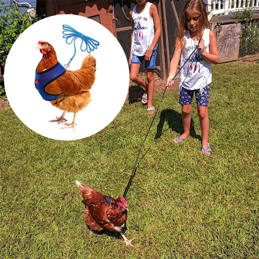Portable Breathable Adjustable Duck Chicken Harness Matching Collars Bow Chicken Vest Comfortable Soft Pet Harness Chicken