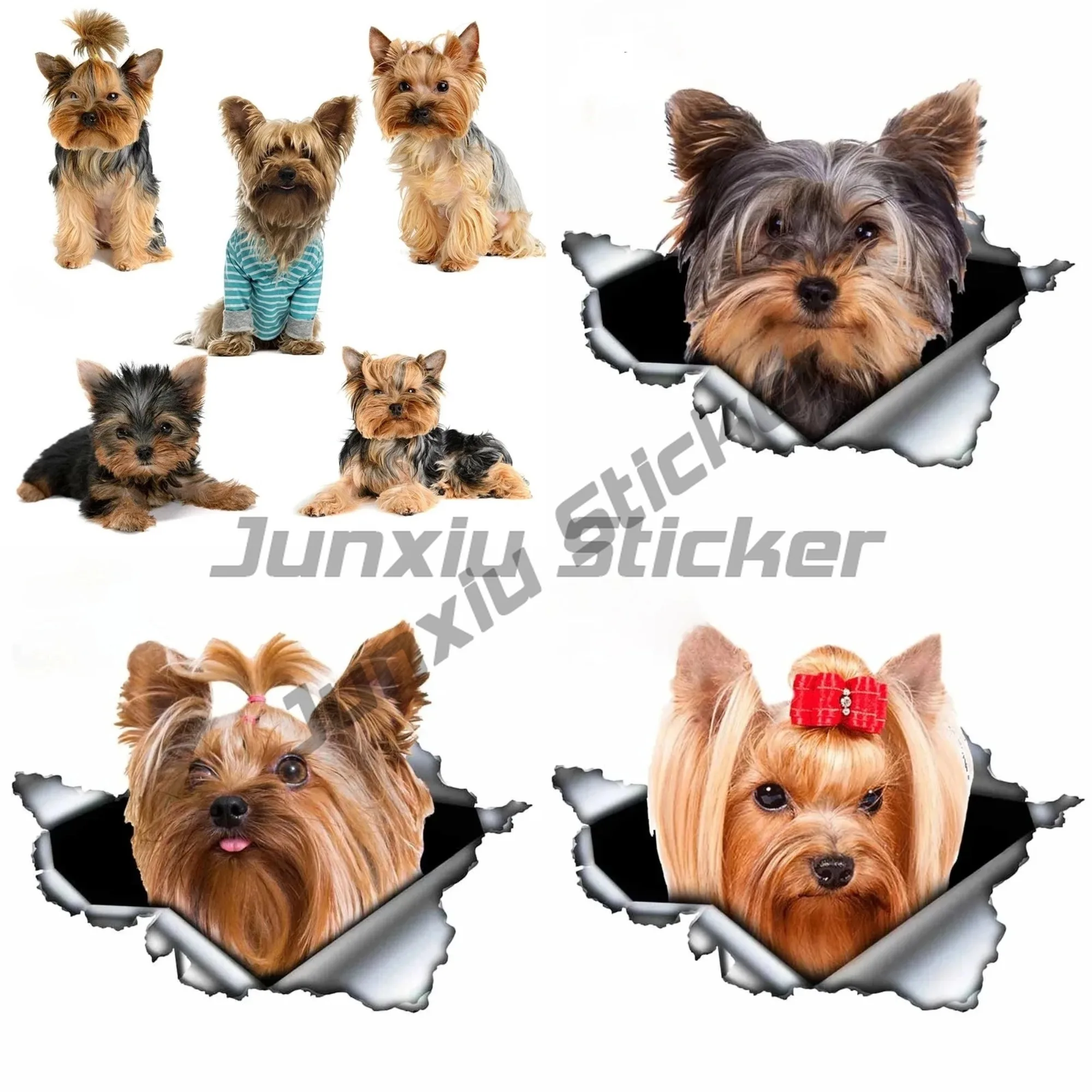 

Car Sticker Cute Yorkshire Terrier Dog Pattern Body Stickers Decoration Cute, Vehicle Supplies Cover Scratches Personality