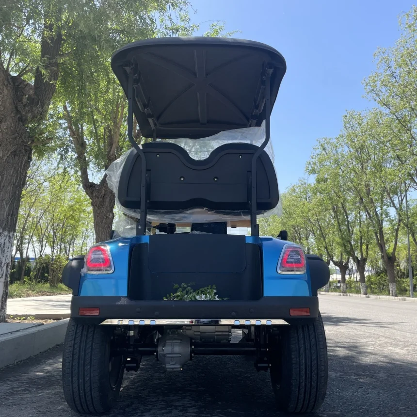 

Super Customized Golf Cart Off Road Car Multiple Seat Colors Free Custom Color High NewTech New Energy Electric Golf Cart