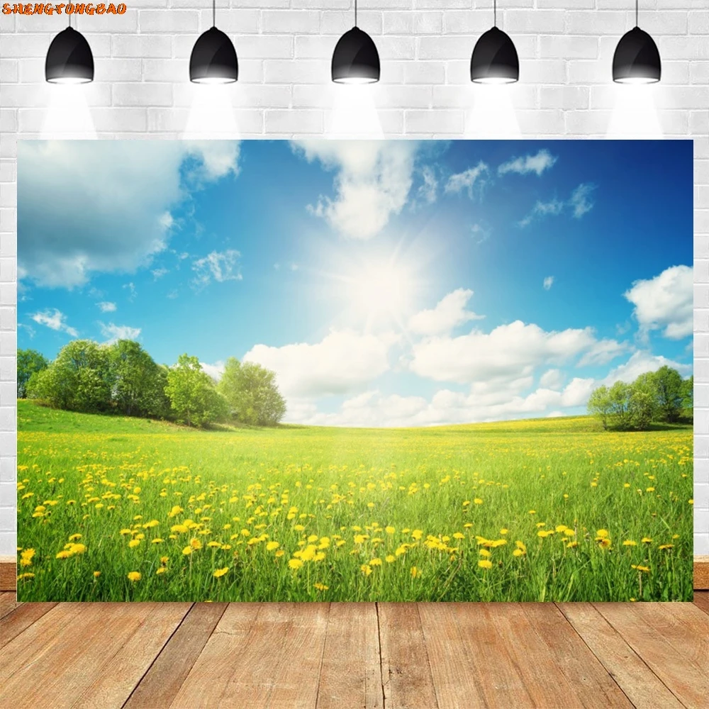 Spring Natural Landscape Backdrop Photography Blue Sky White Cloud Sunshine Green Grass Flowers Scene Background Photozone Props