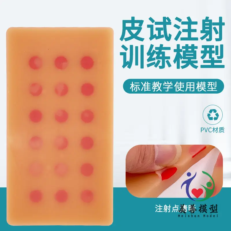 Intradermal Injection Model Arm Vein Mould Puncture Training Module Practice Subcutaneous Skin Test Human Skin Picture