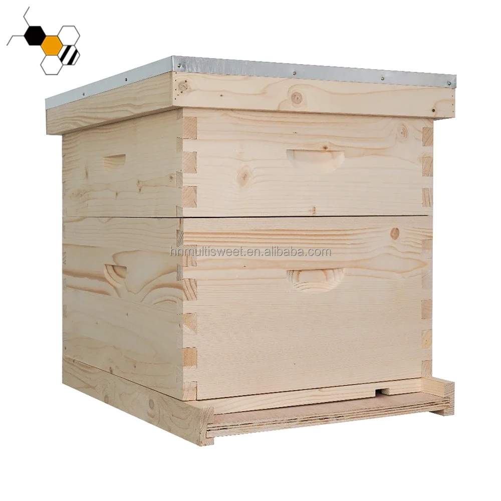 Bee Keeping Equipment Langstroth Beehive Bee Hive Box For Bees