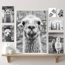Llama Alpaca Poster Fun Animal Modern Wall Pictures Canvas Print Black and White Art Nursery Kids Room Home Decor Painting Gifts