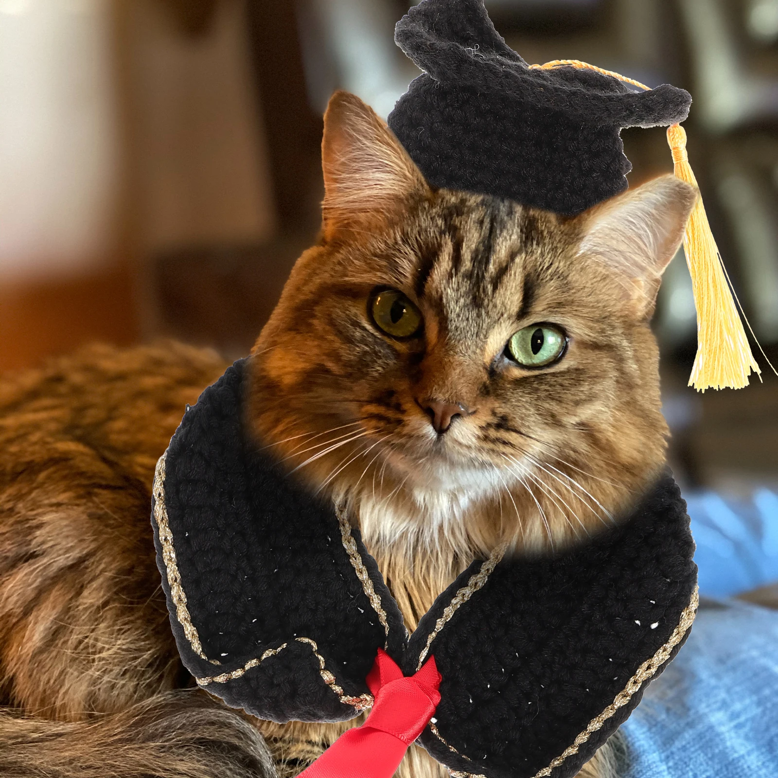 

Pet Costume Dog Cat Clothes Graduation Cap Tassel Hat Puppy Outfits Photo Prop Small Size H made Practical Pet