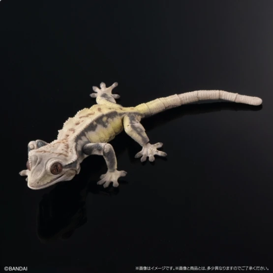 BANDAI Biological Encyclopedia Figures Model Crown haired dog gecko lizard Gashapon Original toys Desktop ornament