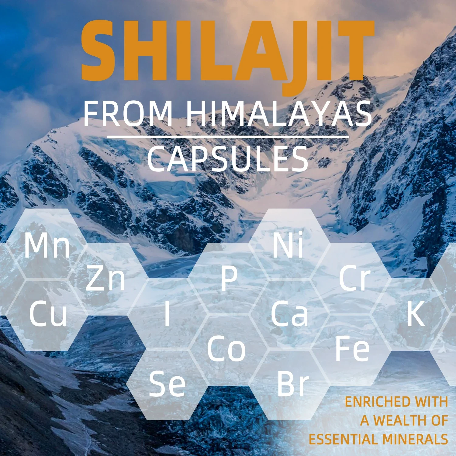 100% ORGANIC SHILAJIT CAPSULES