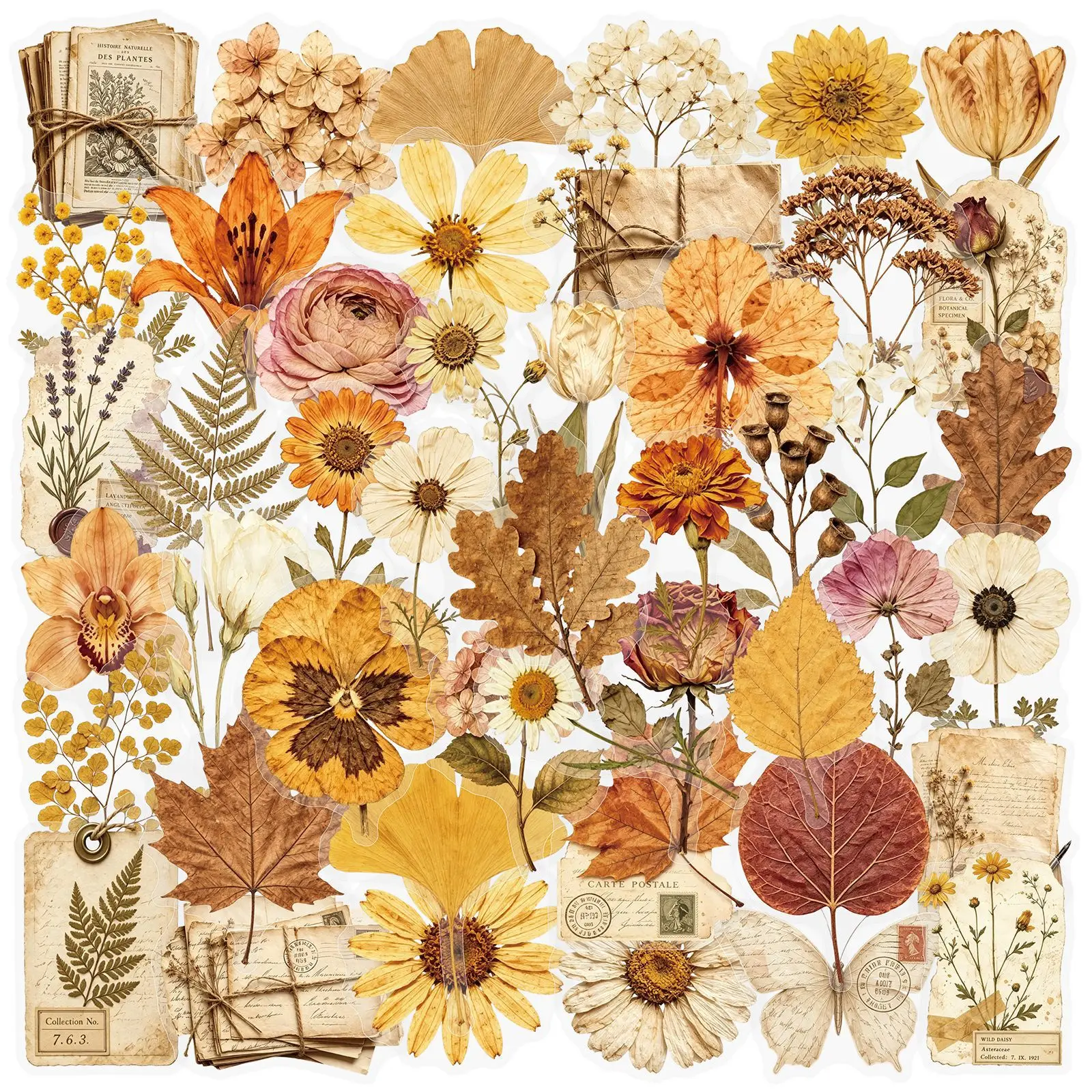 10/50PCS Retro Dried Flowers Transparent Stickers Embossed Plant Graffiti Decoration Notebook Suitcase Phone Guitar Toys Decals
