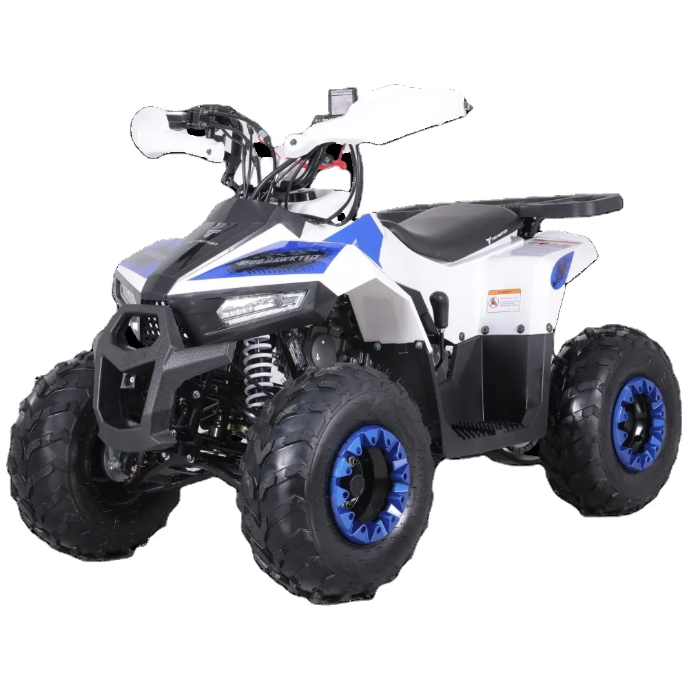 

Kids 110cc ATV Automatic 110cc Quad Bike Atv For Kids Electric Start Chain Drive 7inch