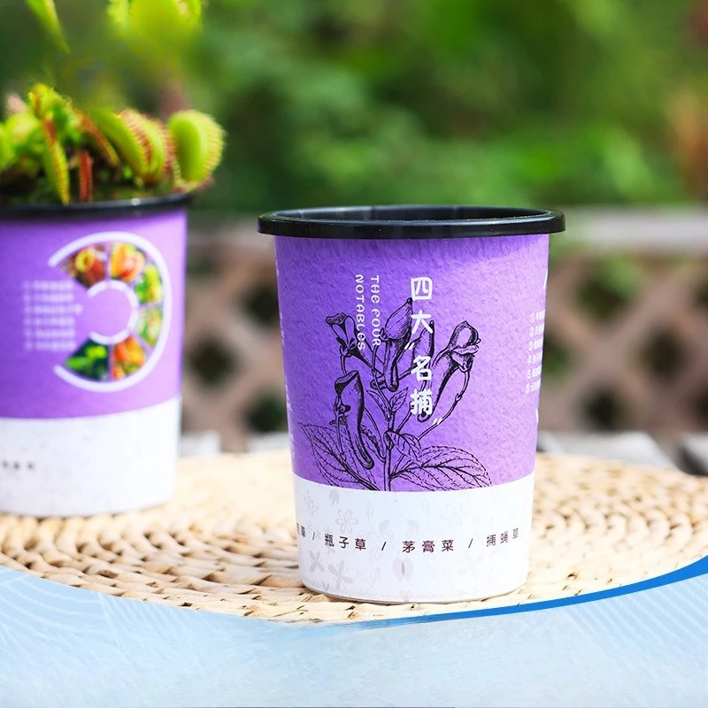 Self absorbing cotton rope basin B03 cultural and creative flower pot series flytrap pitcher plant bottle grass