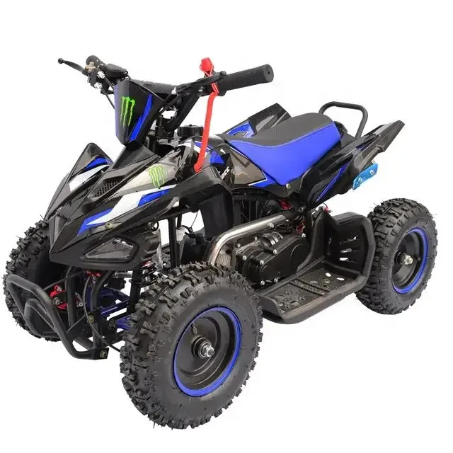 

2WD Automatic Chain Drive 12V Good Quality 49cc Off Road Dirt Bike 2-Stroke Pull Start Disc Brake