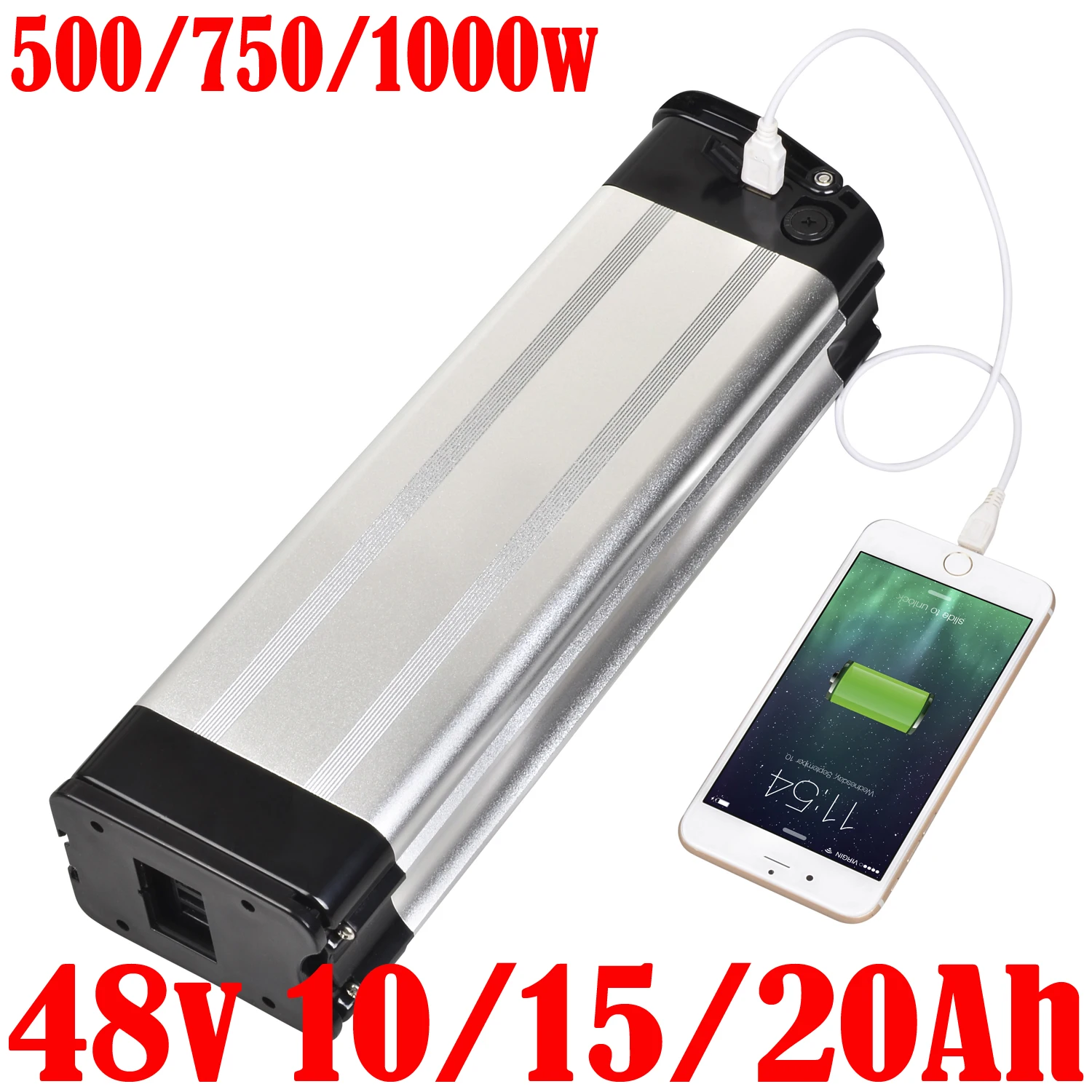 48V 20AH 15AH 13AH 10AH Silverfish Lithium Electric Bike 500W 750W 1000W 48V Lithium ion Electric Bike Bicycle 48V 18650 Battery