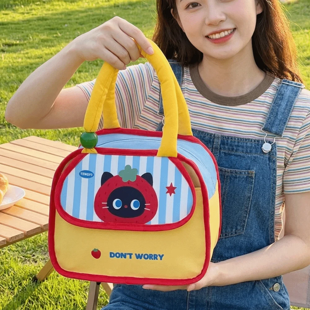 Portable Cartoon Insulated Lunch Bag Cold Insulation Aluminum Mold Lunch Box Bag Patchwork Design Large Capacity Picnic Bag