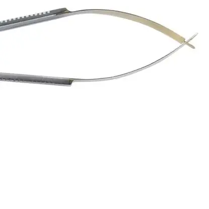 

Dental Matrix Holder Clamp Stainless Steel Matrices Hole Protrusion Placement Tweezer for Dental Restoration Tools