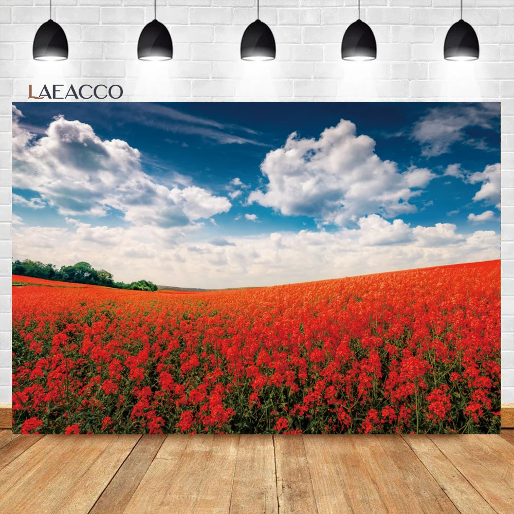 

Laeacco Red Flower Field Backdrop Blue Sky White Cloud Nature Landscape Girl Birthday Wedding Portrait Photography Background