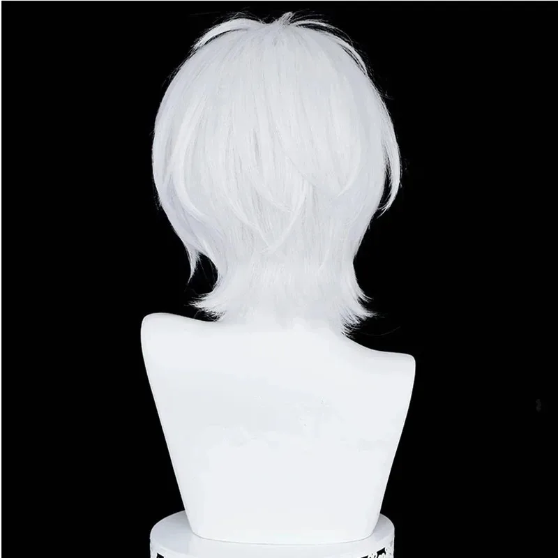 111 www กรณีศึกษาของวานิทัส บลู แบล็ค โนเอ อาร์ชิวิสต์ ซิลเวอร์ ไวท์คอสเพลย์วิกผมสังเคราะห์ทนความร้อนวิกผม +Wi