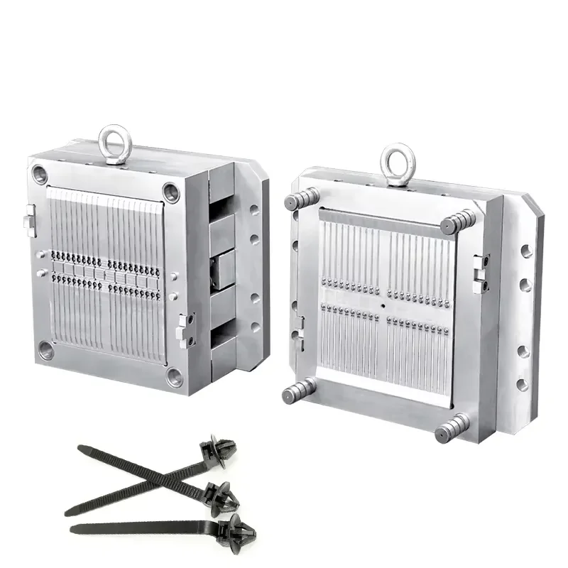 Plastic Mold Small Auto Clip Mould Items Manufactured Die