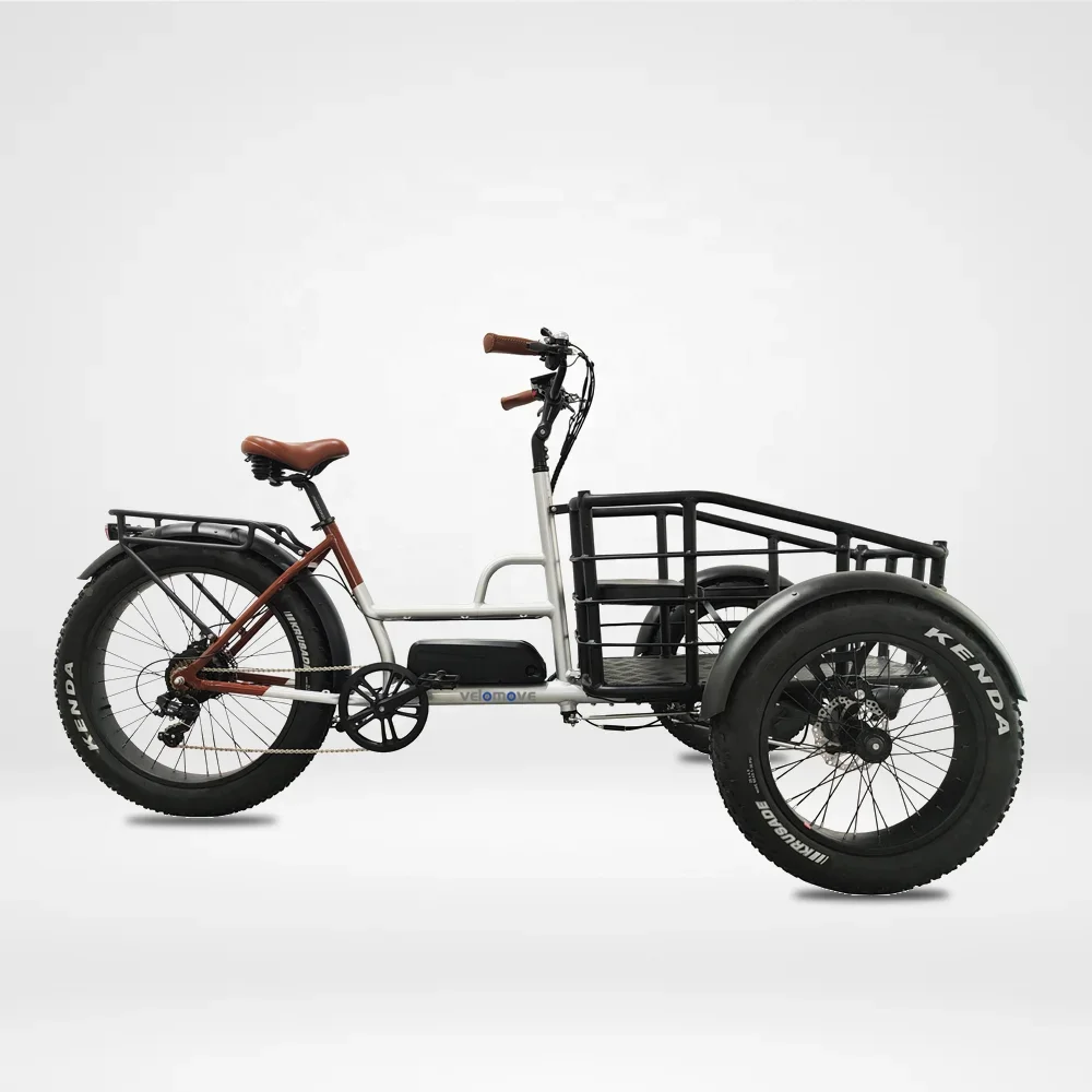 48V 500w Three Wheel Bicycle Cargo Tricycle Front Loading Cargo Electric Cargo Bike 3 Wheel Bicycle