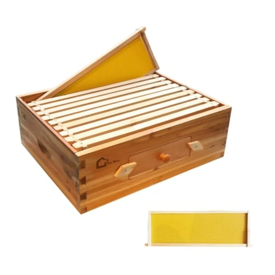 

10 Frame Medium Super Bee Hive Box, Langstoth Beehive Honey Super Box, Bee Box with Acrylic Window Dipped in 100% Beeswax Inclu