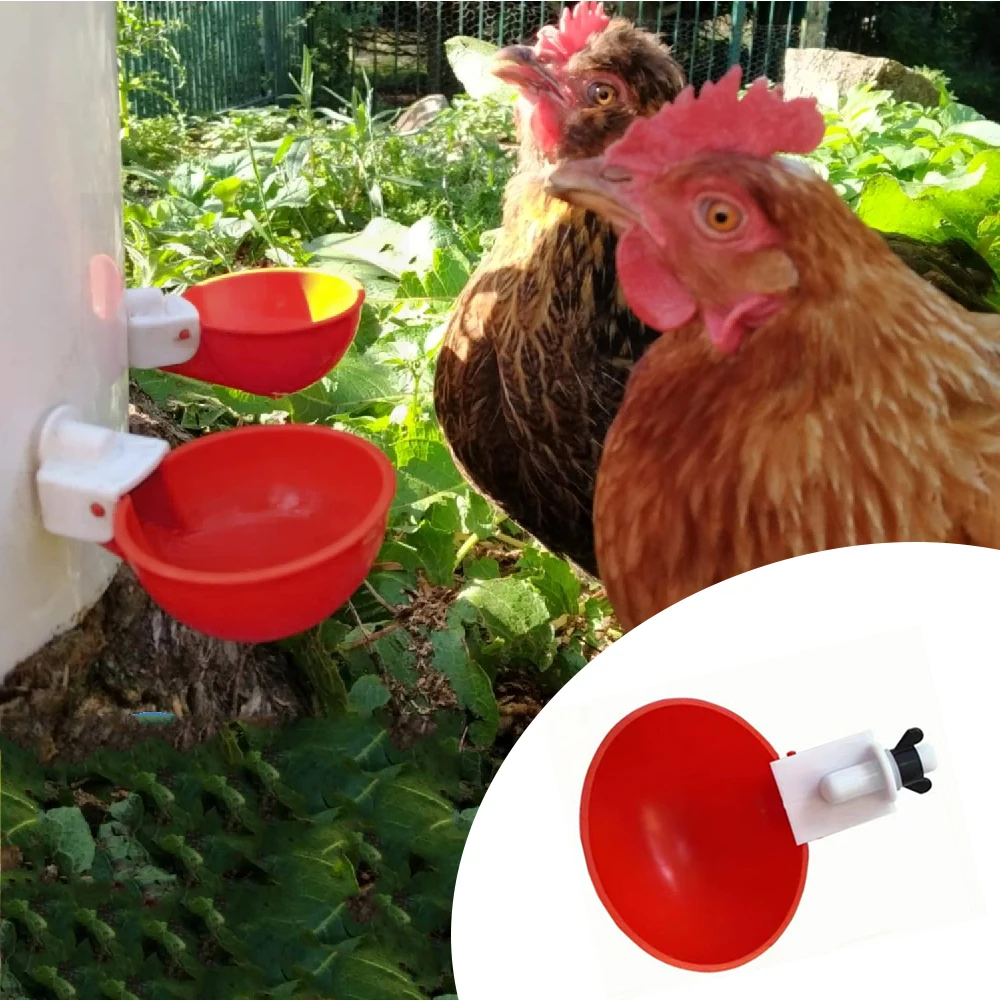 

Large Automatic Chicken Waterer Cups Chicken Water Feeder Suitable for Chicks, Duck, Goose, Turkey Bunny Poultry Water Feeder