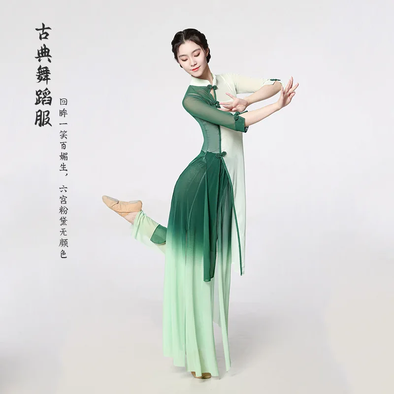 

New classical dance clothes gradual change performance clothes dance gauze high elastic cheongsam