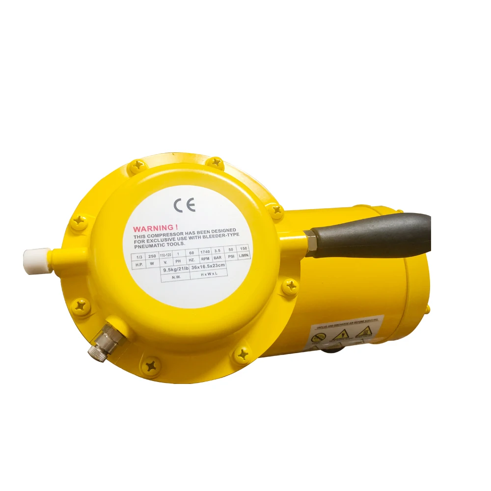 Professional Pneumatic Painting Tools Kit High Flow Double Switch 115v 230v Portable Mini Air Compressor