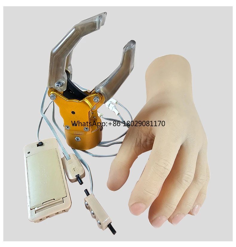 

artificial limb Myoelectric Prosthetic Hand Forearm Prosthetic Arm, Prosthetic Hands