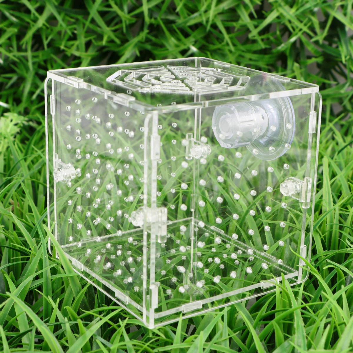 

Acrylic Fish Breeding Tank Transparent Isolation Box Aquarium Incubator Hatching Box Fish Seedlings Case 10x10x10cm 2Mm Round