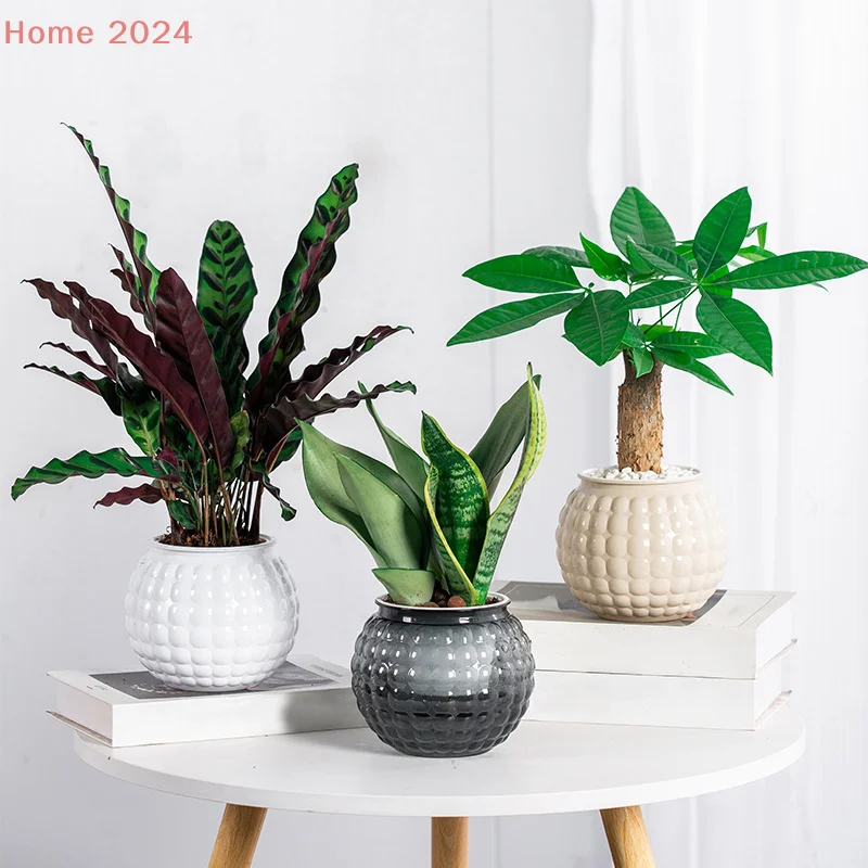 

Mini Self Watering Flower Pot Fish Tank Transparent Plastic Plant Pots Self Watering Planter Pot Vase For Home Decoration