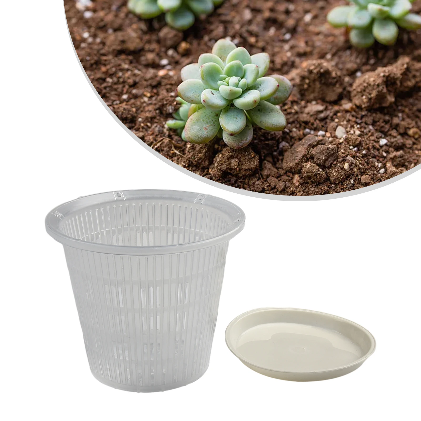 Vaso per piante Vaso per fiori Orchidee per fiori di luna Vasi in plastica riutilizzabili lavabili controllati dalle radici Trasparenti e traspiranti