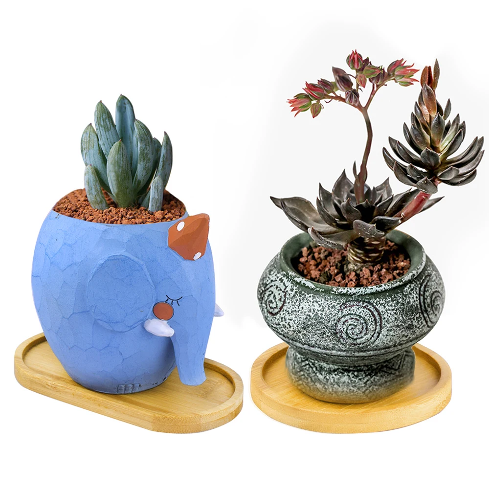 Gardening Supplies Succulents Bonsai Holder Planters Pot Stander Hexagon Rectangle Flowerpot Base Round Square Bamboo Wood Tray
