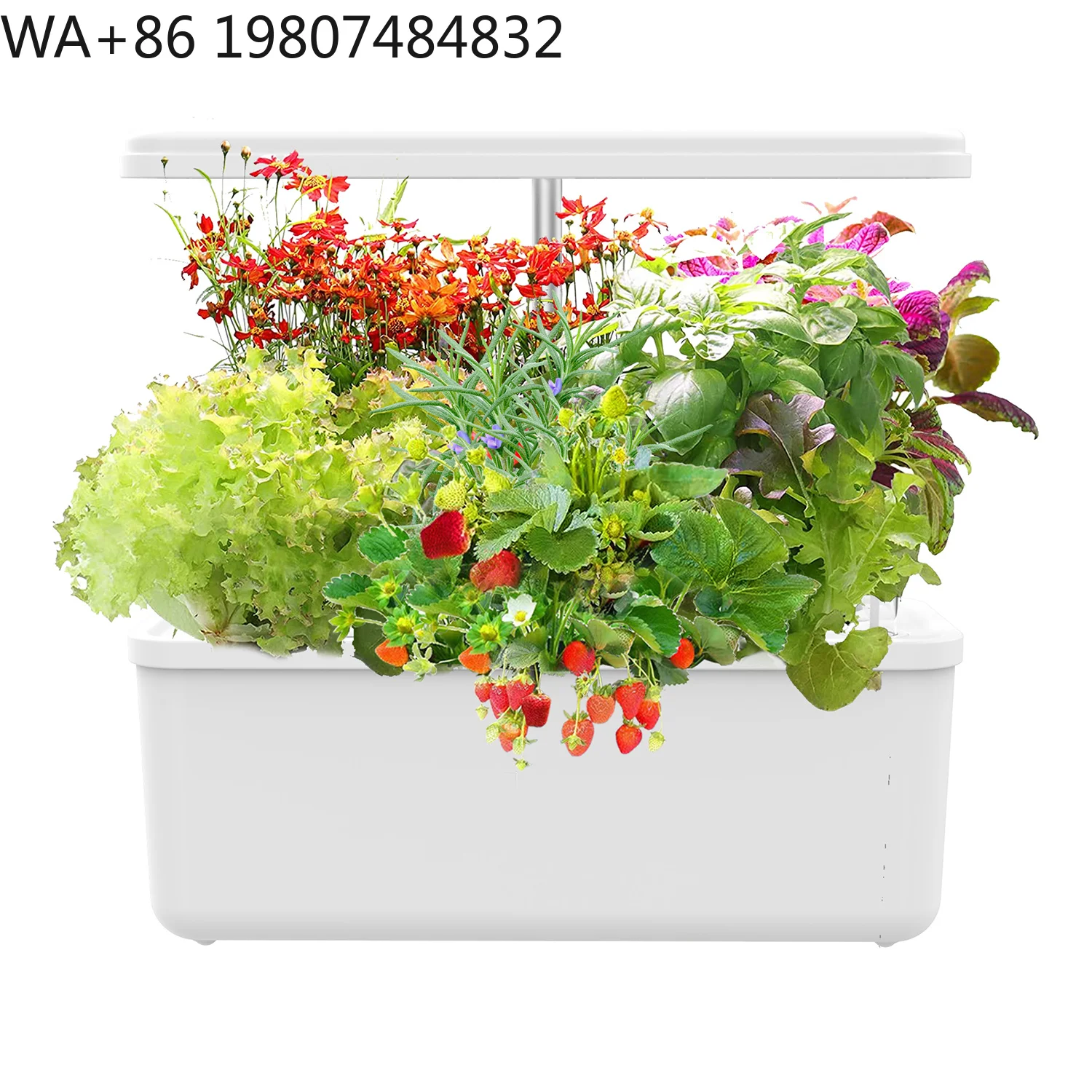 Automatic Circulation Soilless Cultivation Planter Full Spectrum Fill Light  Indoor Balcony Herb Flower Seedling Germination